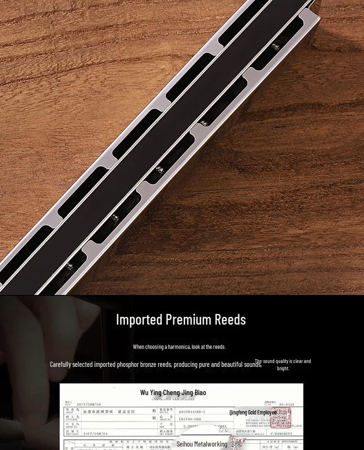 Guoguang 24-Hole Harmonica Set: Beginner to Pro Level, Double Reed, 12 Keys, Suitable for All Ages.