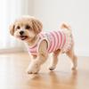 huaqianguhh Colorful Striped Dog Dress, Stretchy Sleeveless Outfit, Cute Ruffled Dress for Small Dogs Teddy Bichon Frise Party Wear