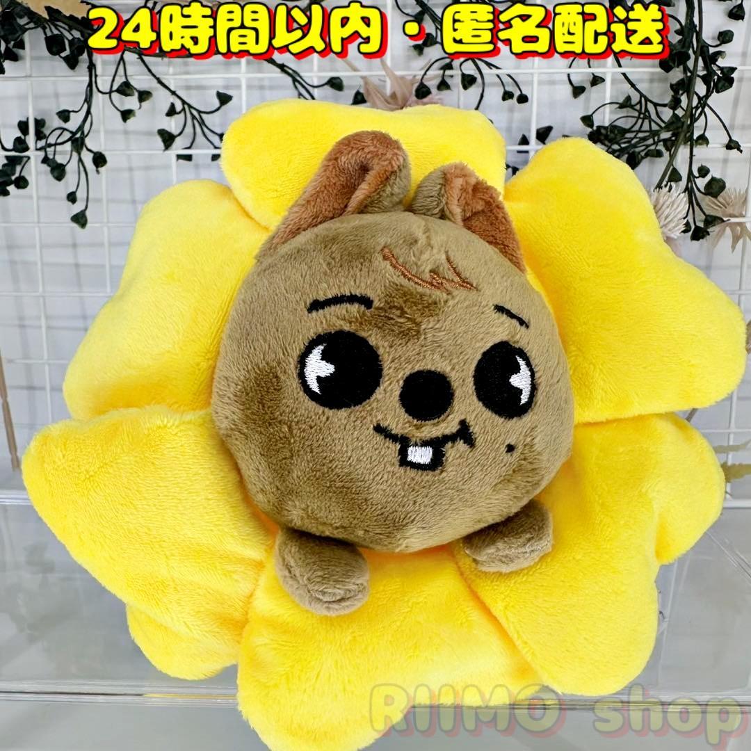 

[Б/У] SKZOO пенал-цветок HAN Hankwakka