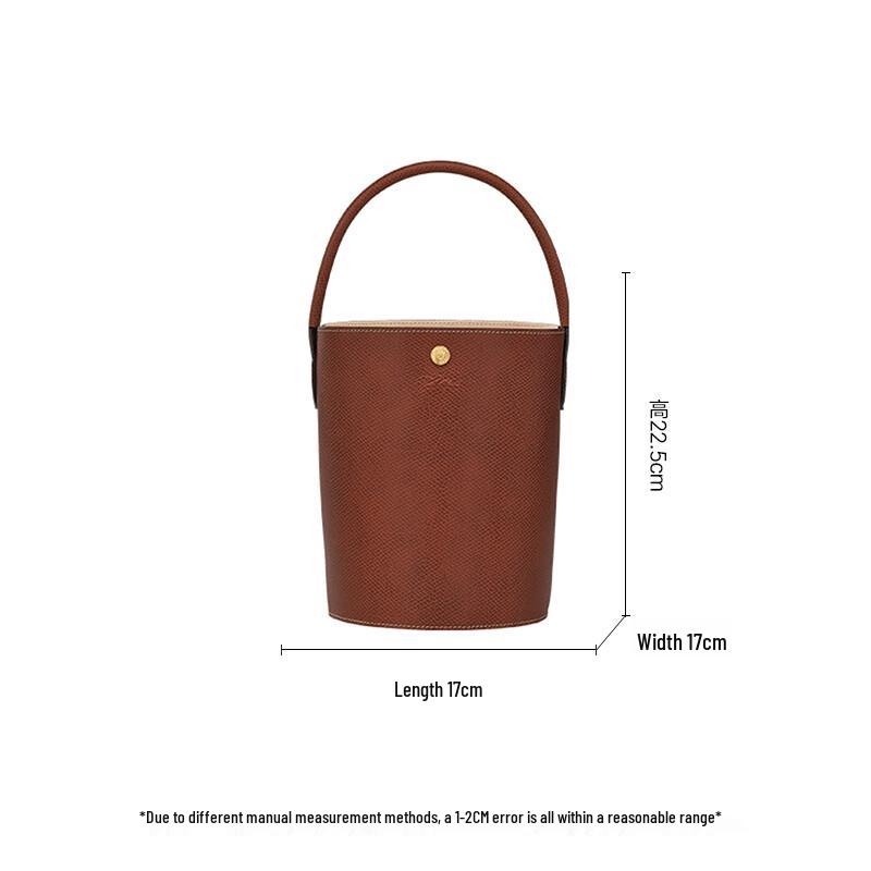 Longchamp Épure Small Leather Bucket Tote Bag