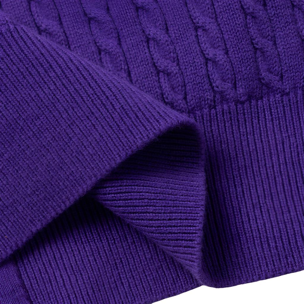 Polo Ralph Lauren Sweater Pony Logo Embroidered Zipper Hoodie Long Sleeve Kids tops Purple 313916533-007