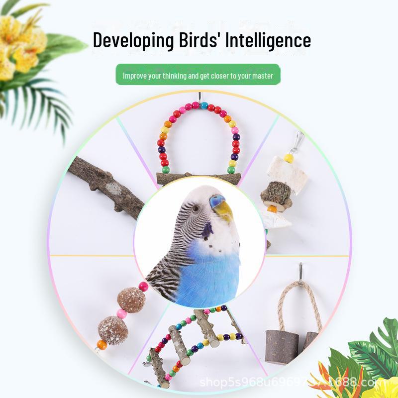 Parrot Chewing Toy Set: Pepper Wood Ladder, Swing, Stand Stick, Cuttlefish Bone Molar String