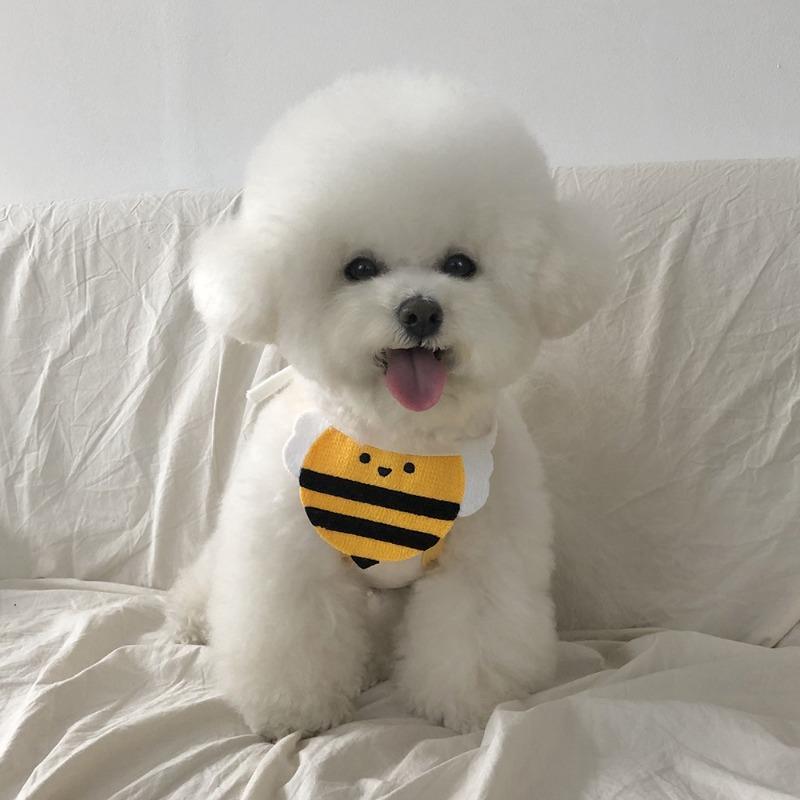 

Салфетки для слюны кошек, Товары для питомцев, Одежда, Декоративные принадлежности для собак, Треугольные салфетки для кошек, Собачьи шарфы M