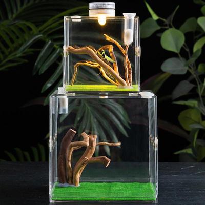 Répteis – Terrários de répteis