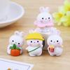 Mini Rabbit Ornament for Desk, Car & Cake Decor