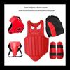 Adult Combat Sports Protective Gear Set