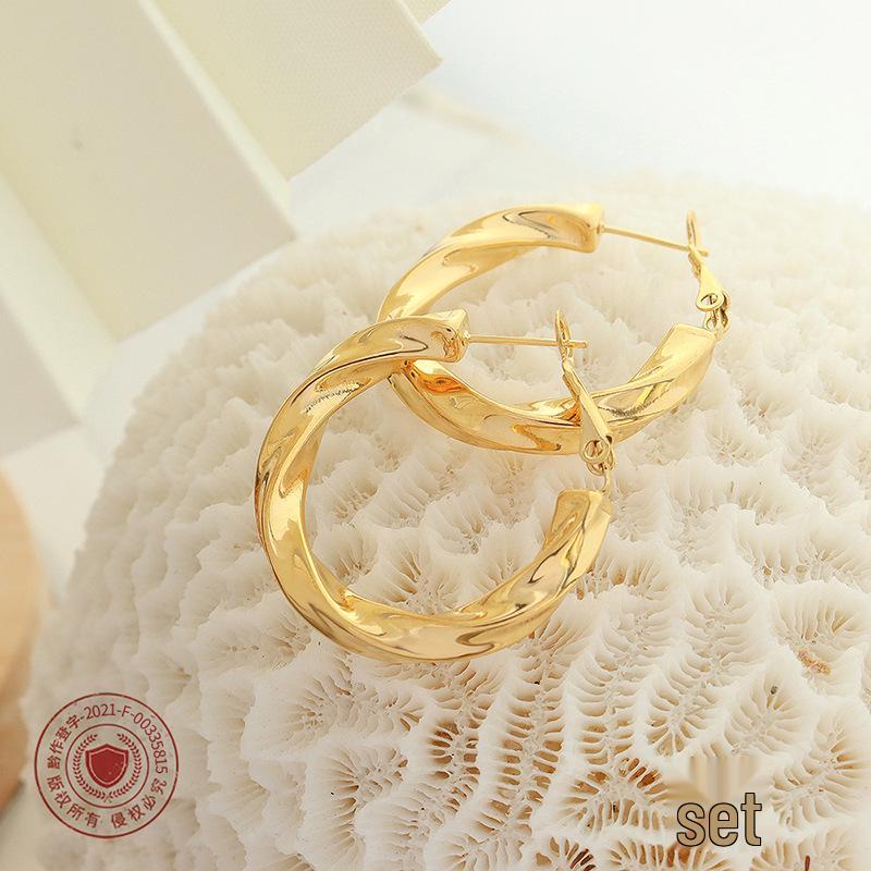 Geometric Hollow Retro Twisted Hoop Earrings - Titanium Steel, Non-fading