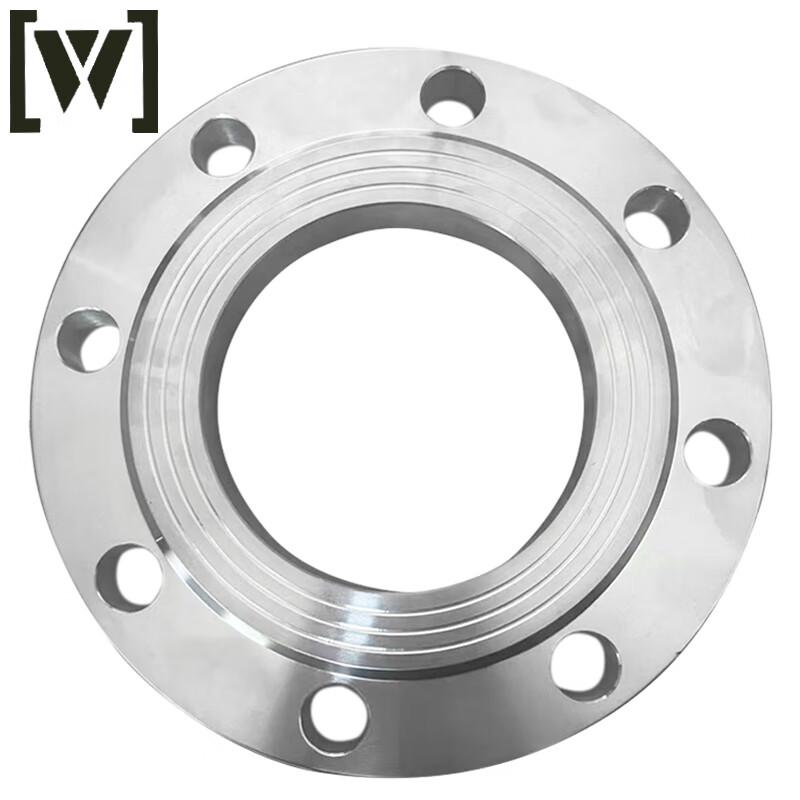 304 Stainless Steel RF Plate Flat Weld Flange DN65