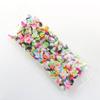 Silikon Welt 1000 Stück Mix Obst Weich Ton Schleim Tier Blume Scheibe Harz Füllstoff für Nagelkunst Epoxid Form DIY Handwerk Herstellung