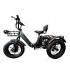 PULUMA SL001 Dual Motor Electric Cargo Trike, Dual Battery 48V 27Ah 7-Speed with Hydraulic Brakes