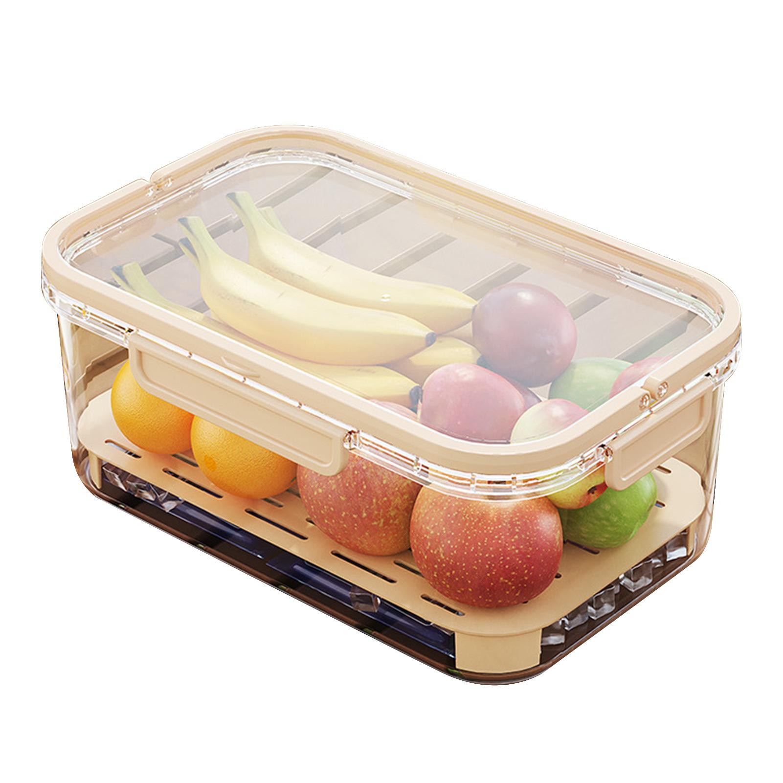 

Fresh-keeping Box With Carrying Handle Refrigerator Food Storage Container For Grains Vegetables