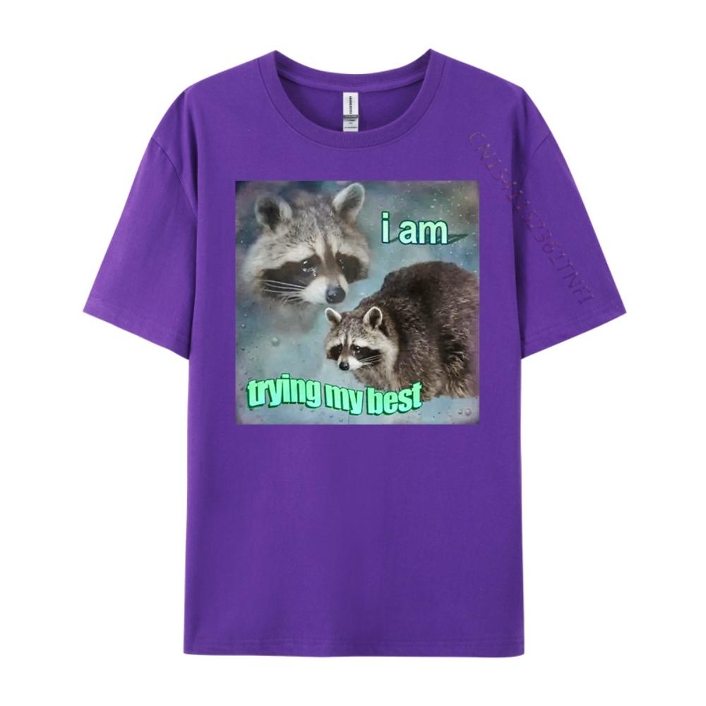 Raccoon I Am Trying My Best Sad Unisexs Korean Fashion Unisex Oversized T Shirt