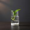Borosilicate Glass Vase For Hydroponic Plants Straight Cylinder Design Indoor Desktop Decoration