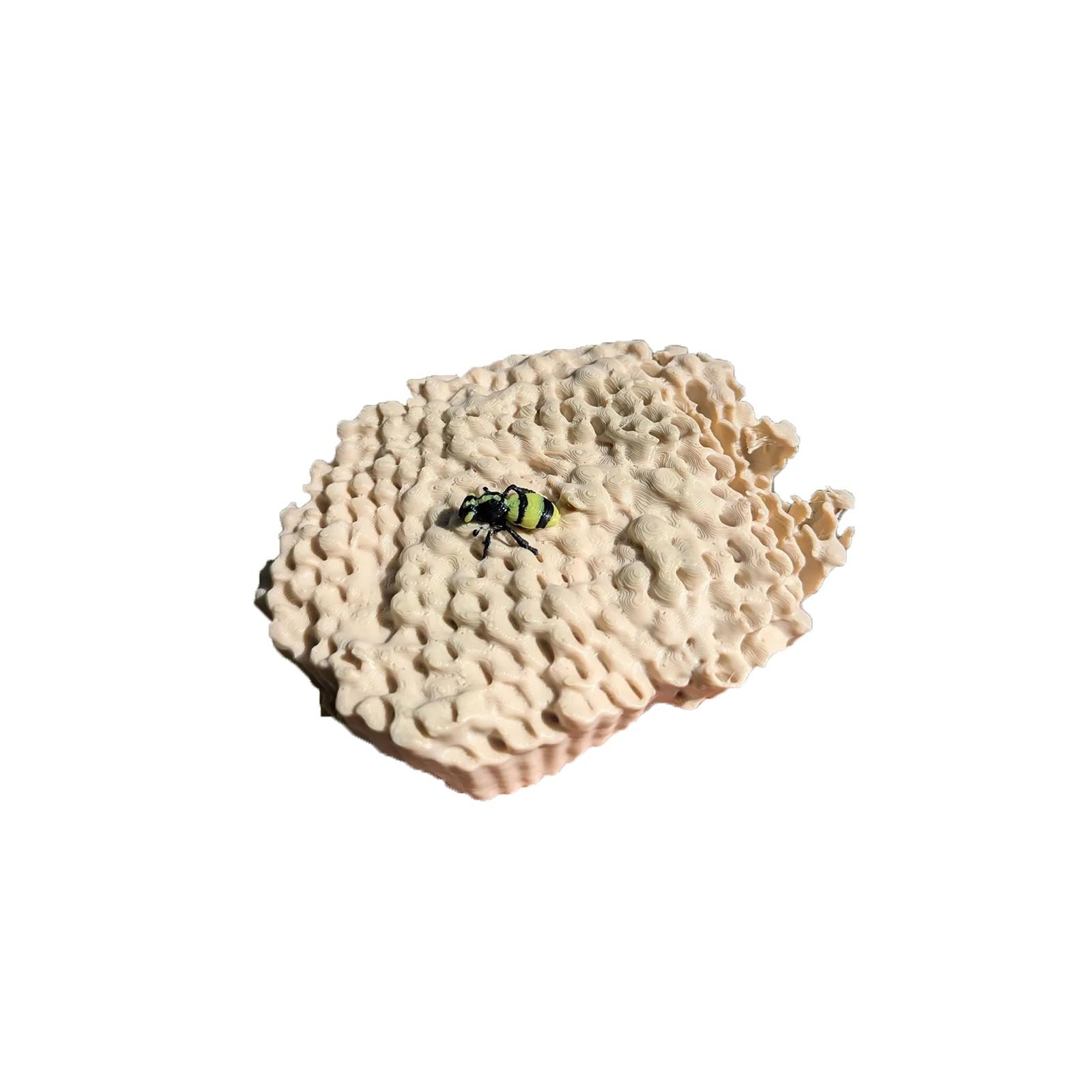 

Реалистичный 3D-печатный геокэшинг One Size