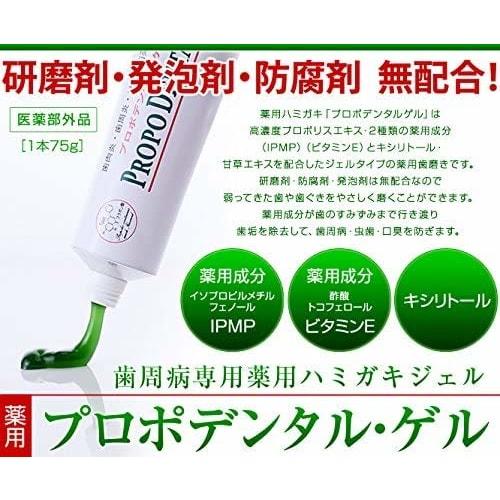 Propolis Toothpaste, Non-Abrasive, for Electric Toothbrushes, Periodontal Disease, Propodental Gel (75g), 1 Bottle
