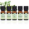 [QNS33243_58] Aromapi Massage Essential Body Oil 9 Types (39805224)
