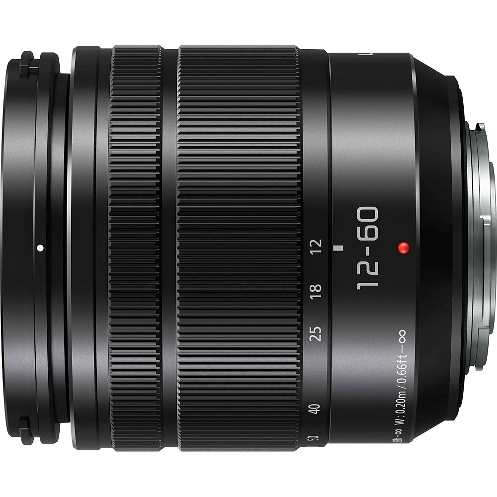 Panasonic LUMIX G VARIO 12-60mm/F3.5-5.6 ASPH./POWER O.I.S H-FS12060 Standard Zoom Lens for Micro Four Thirds