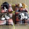 Simulation Cat Doll Plush Toy Mini Realistic Sleeping Kittens On Mat Figurine Stuffed Animal Toy with Cushion for Home Office Room Desktop Decor