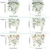 Green Plant Leaves Flower Toilet Stickers Bathroom Wall Decor Decals Living Room Home Decoration Beautify Self-Adhesive Poster