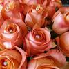100pcs Jagowa Diamond Head Pins Clear Acrylic Flower Bouquet Pins With Plastic Box For Wedding Sewing DIY Craft Decoration