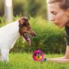 Pet Toy, Dog Face Ball, Sound,  Boredom, Interaction, Corgi Chaigou, Small And Medium-sized Dog Toy