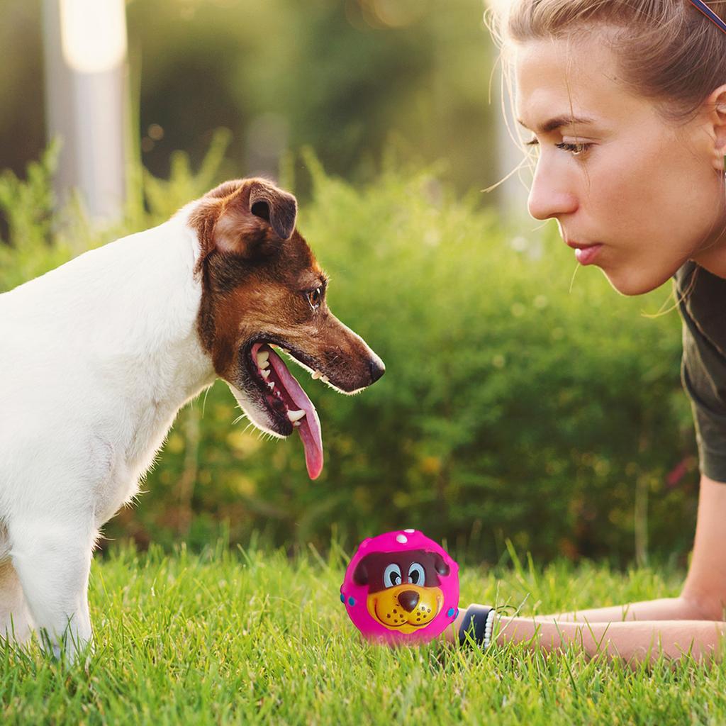 Pet Toy, Dog Face Ball, Sound,  Boredom, Interaction, Corgi Chaigou, Small And Medium-sized Dog Toy