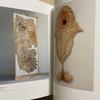 [USED] Tim Hawkinson Collection - Foreign Books