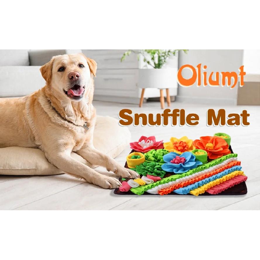 Pet Slow Food Puzzle Mat Dog Sniffing Mat Cat Feeding Blanket Sniffing Training Mat Toys