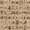 56 Human Skeleton Schematic Doodle Stickers - Waterproof for Suitcase, Guitar, Notebook, & More