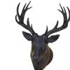 Dollhouse Miniature Deer Head Doll House Accessories Life Scene Wall Decoration for Layout Micro