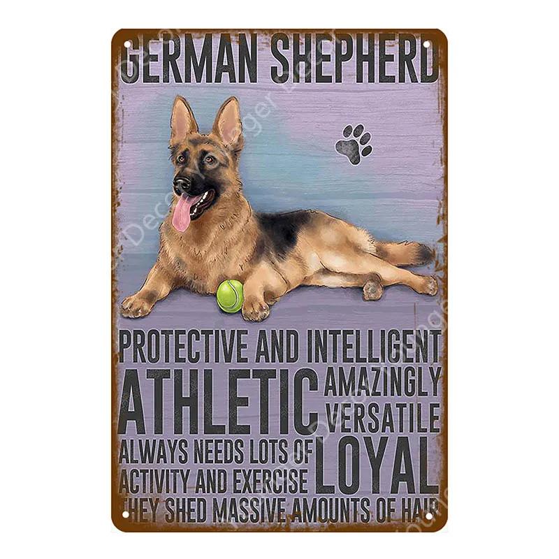 Animal Dog Cat Vintage Metal Poster Home Decor Retro Tin Sign For Pub Bar Club Decorative Plate Poodle Wall Plaque