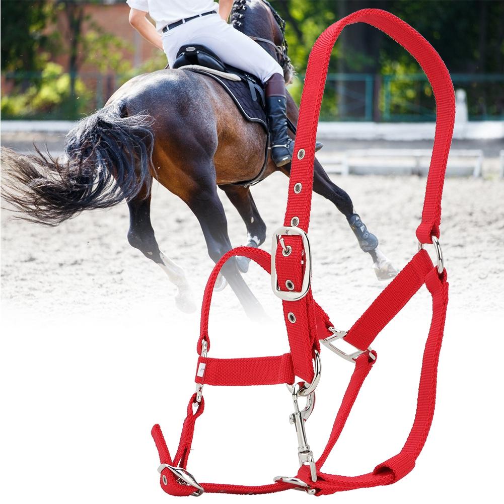 Briglia per Cavallo Regolabile Colore Rosso Ispessito 6mm Cavezza di Controllo Accessori per Equitazione