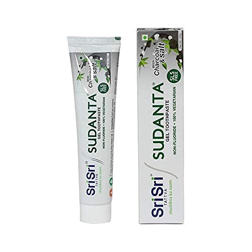 Sri Sri TATTVA Sudanta Herbal Gel Multi Action Toothpaste 100G X Pack Of 2 For Kids Adults