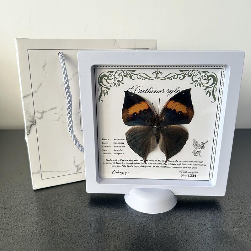 

Real Butterfly Specimen Po Frame, DIY 3D Embellishment/Ornament/Furniture Decoration