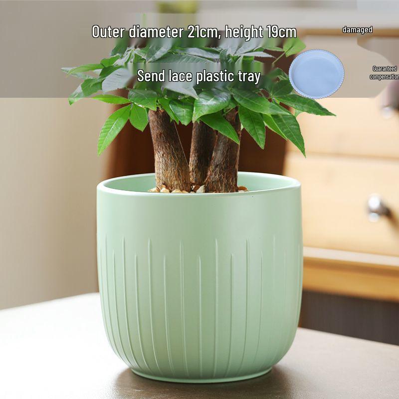 Nordic Style White Ceramic Succulent Pot with Four Compartments