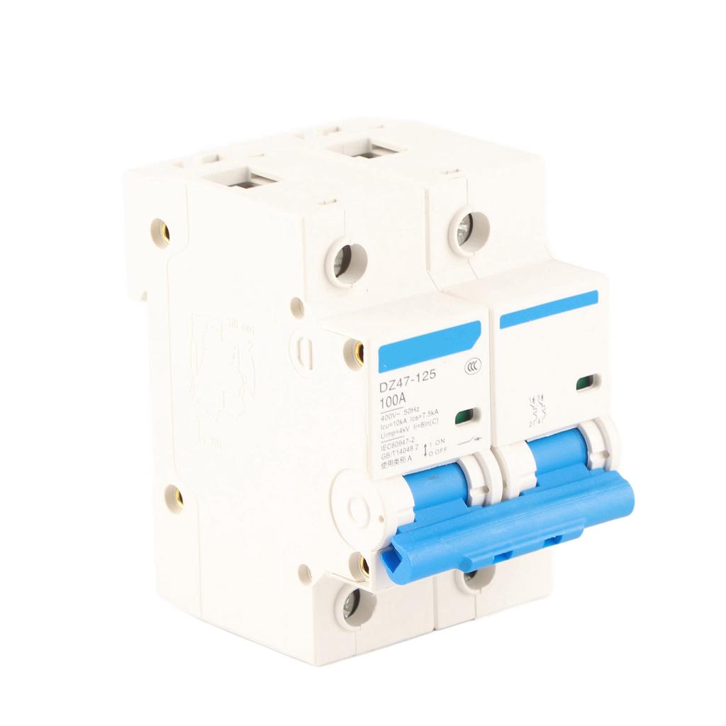 Interruptor de protección contra fugas 400V 80100125A DZ47?125 2P? Disyuntor miniatura de corriente(100A)