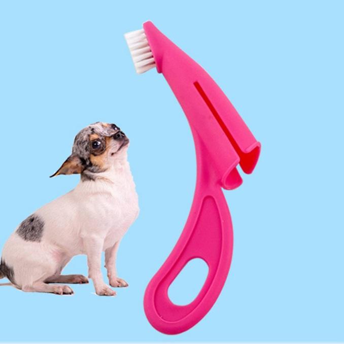 dog bristle toothbrush