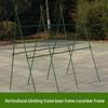 Vegetable Garden Climbing Support: Bean, Cucumber, and Runner Bean Trellis Frame
