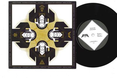 7inch Record TELEPAT, / SUNNI GEINI - Chrome's On It / Sg Main Theme NPIP001 NO PAIN IN POP 2008 UK Rock Used