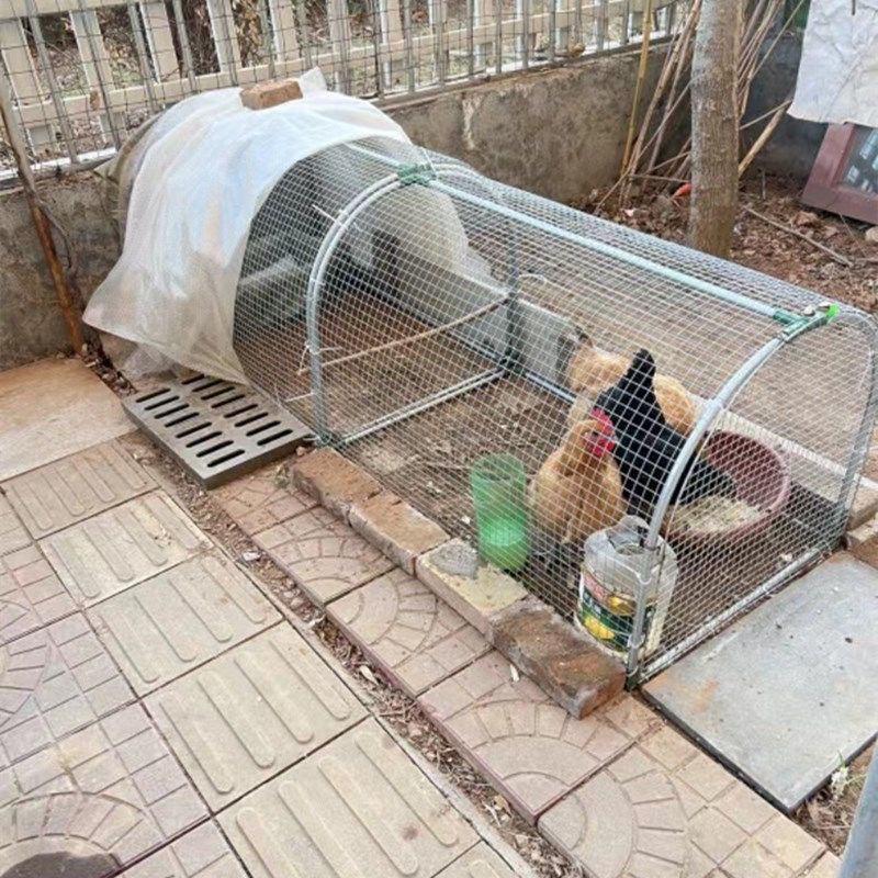 Iron Mesh Outdoor Chicken & Rabbit Tunnel Coop for Free-Range Farming