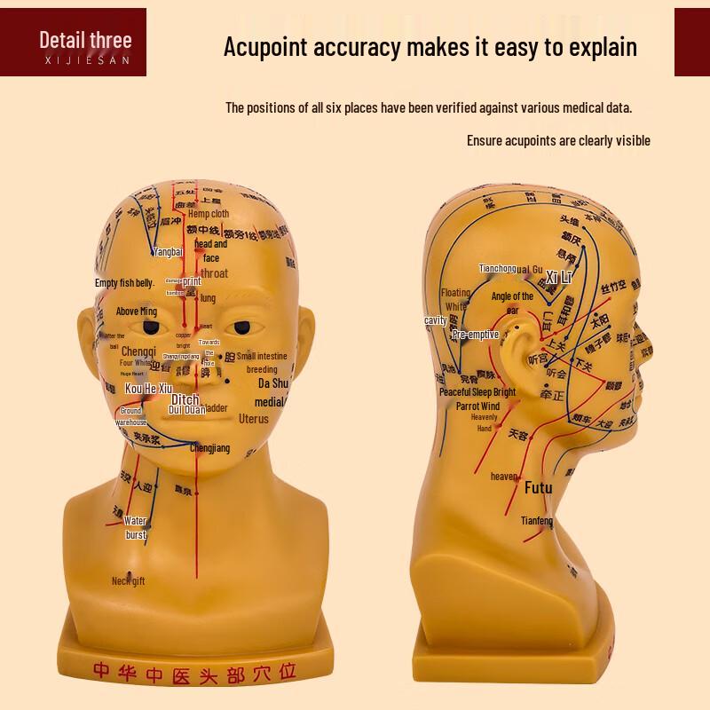 Blue Butterfly Human Meridian Acupuncture Model