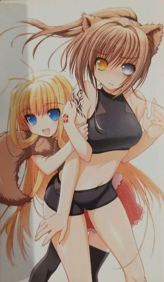 [USED] Akata Itsuki Excellent Punitto Fan Book 3-Book Set