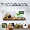 Lizard Cage Reptile Cage Breeding Case with Thermometer and Hygrometer Reptile Terrarium Tank Insect Breeding Case Transparent Ventilated Cage Feeding