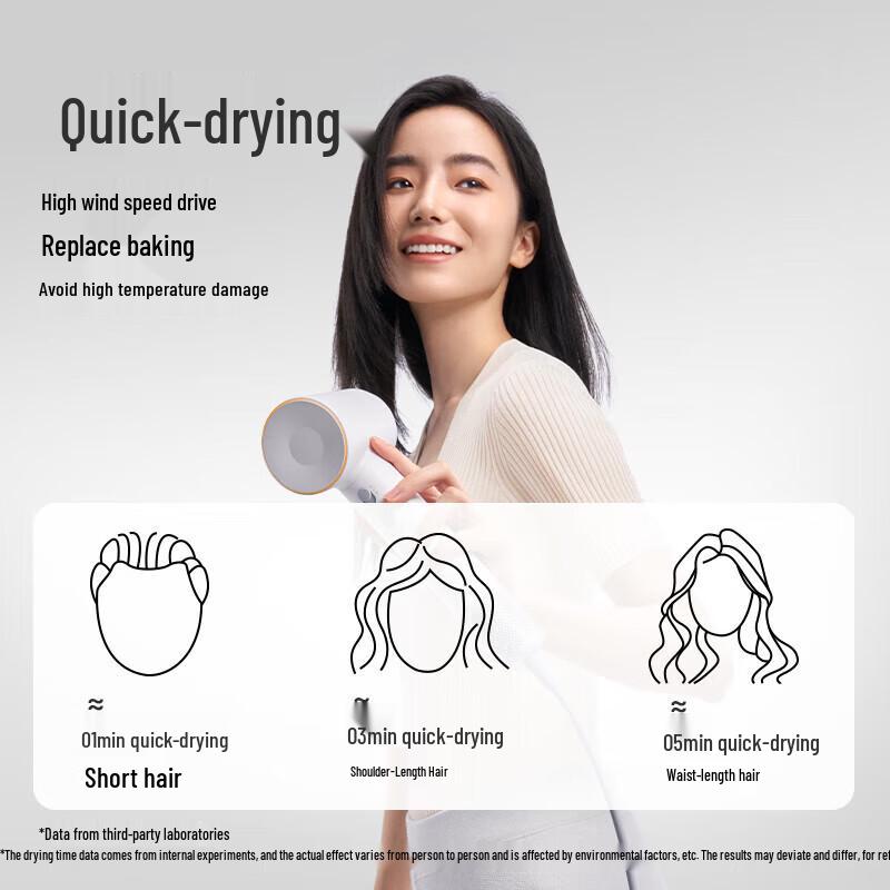 Laifen SE High-Speed Negative Ion Hair Dryer