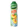 Teisseur Siroop Perzik 600ml