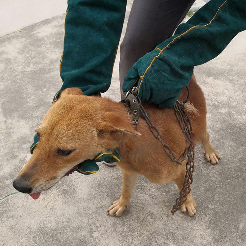 Classic Pet Anti-Bite Safety Gloves Beekeeping Gloves Ultra Long Protective Anti Scratch for Dog Cat Bird Snake Lizard Bathing Training