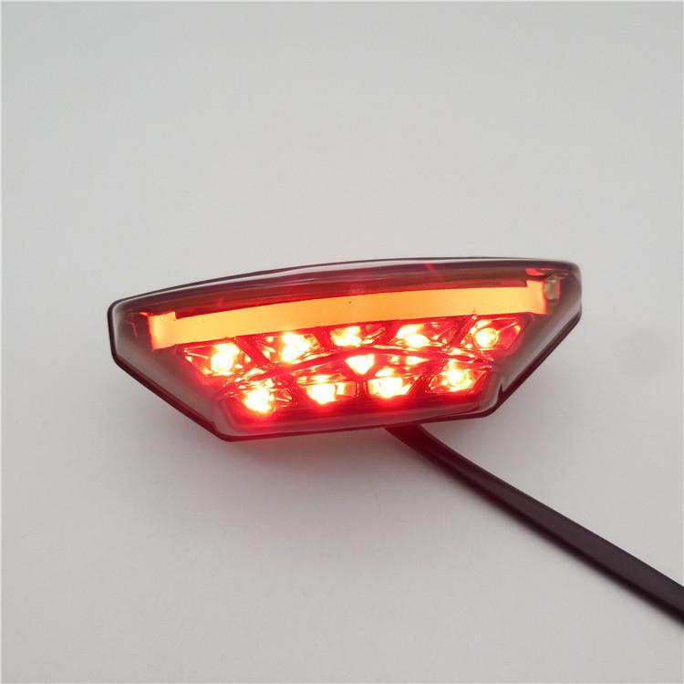 BMW Motorcycle LED Rear Taillight with Integrated Brake and License Plate Light