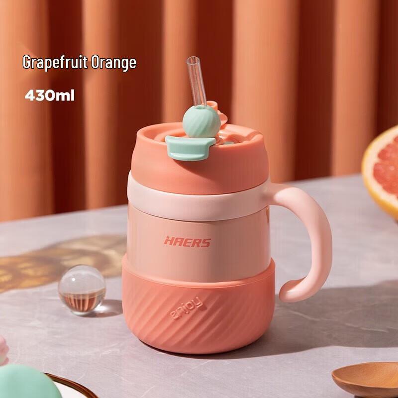 

HAERS 316 Stainless Steel Insulated Straw Bottle