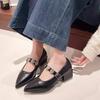French New White Thick Heel Mary Jane Spring with Skirt Word with Pointed Temperament Single Shoes Tide