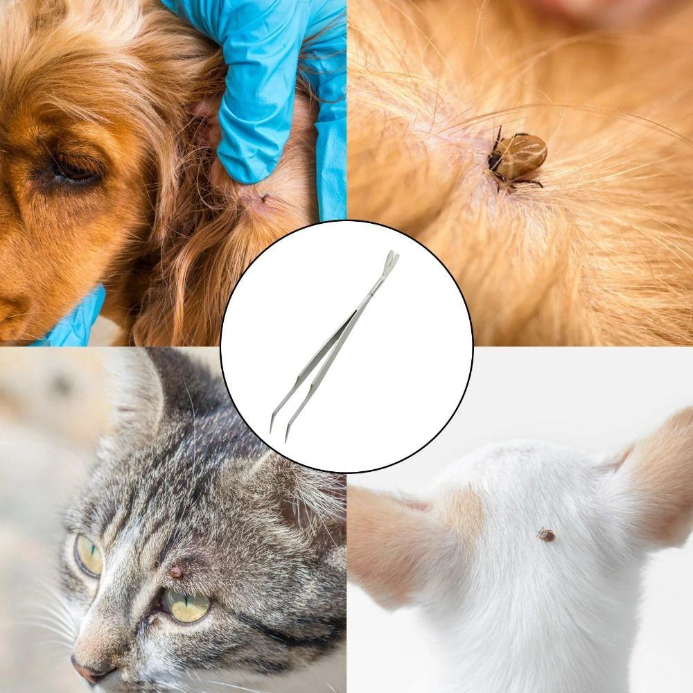 2 i 1 Hundelusklips Profesjonell Flåttfjerner Pinsett Hjemmetilbehør Flåttpinsett Mennesker